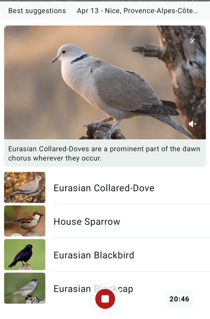 Merlin app screenshot