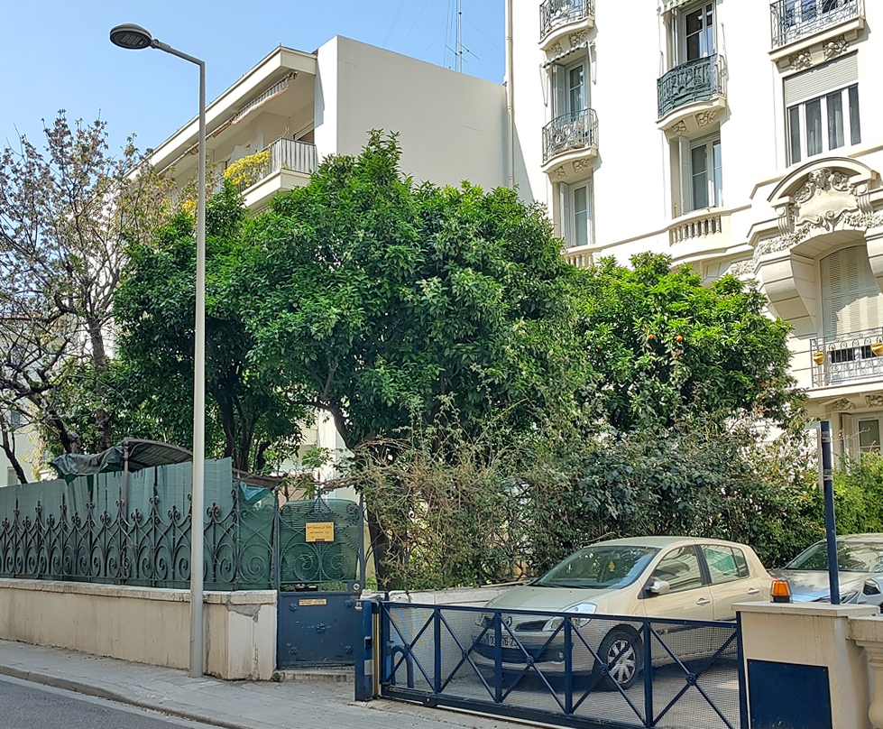 Orange trees in flower in NIce